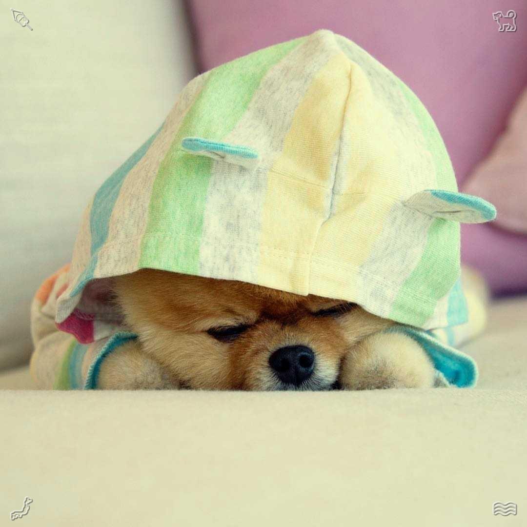 gn_lain tweet picture