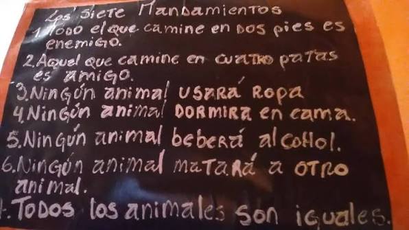 Juan Destefanis tweet media