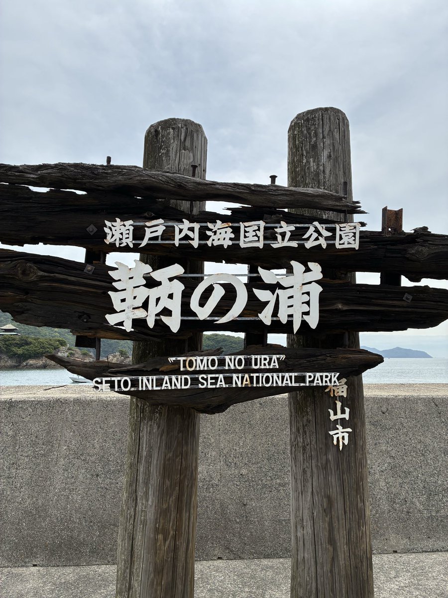 narumo_to（なるもと。） tweet media