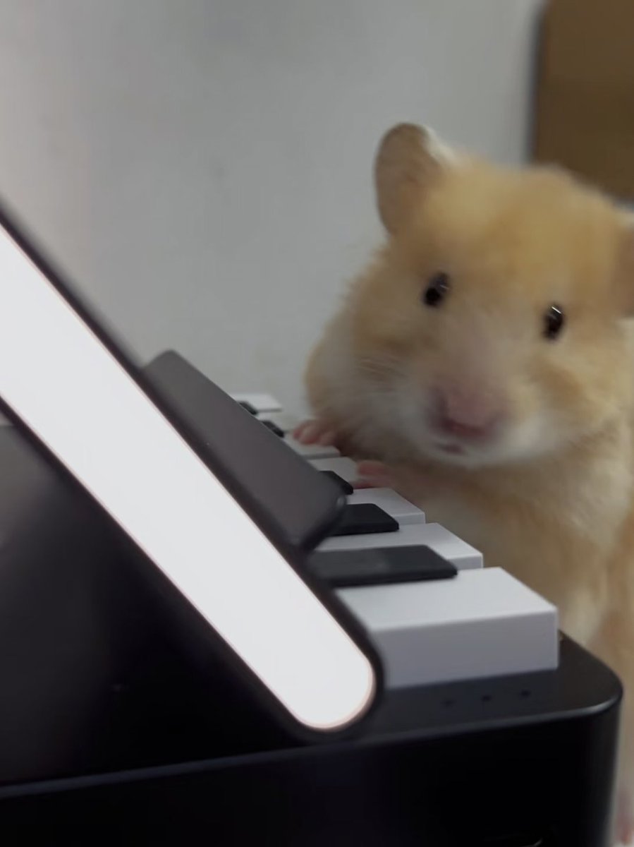 hamsterskbae's tweet photo. https://t.co/vUazEfCJSH