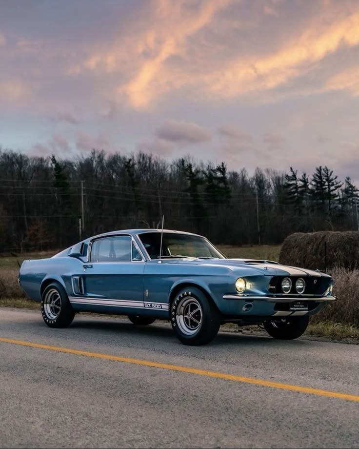 Car Porn tweet media