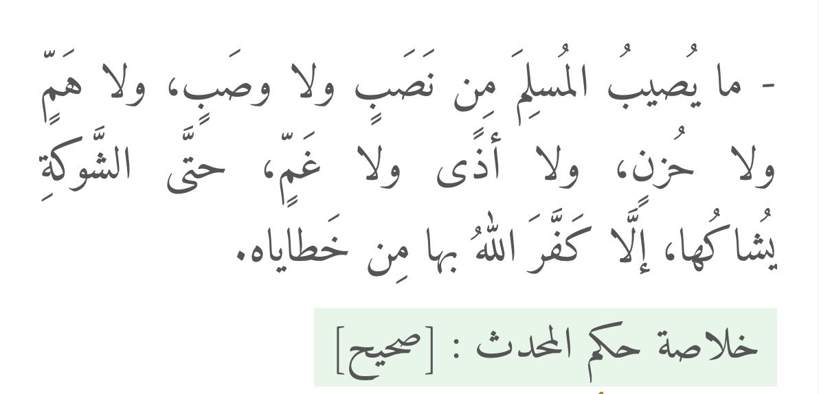 btol50's tweet photo. يعجبني الجبر الإلـٰهي "حتَّى الشَّوكةِ يُشاكُها، إلَّا كَفَّرَ اللهُ بها مِن خَطاياه" بأصغر الأسباب الله يريد أن يكفر عنك الخطايا، فكيف بمصابك إذا عظم الأجور أعظم من أن يتصورها عقلك، حتى لا يضيع أجرك كن من الحامدين الشاكرين واصبر على ما أصابك وليهنك الفوز العظيم. https://t.co/8wEyoX6Ll2