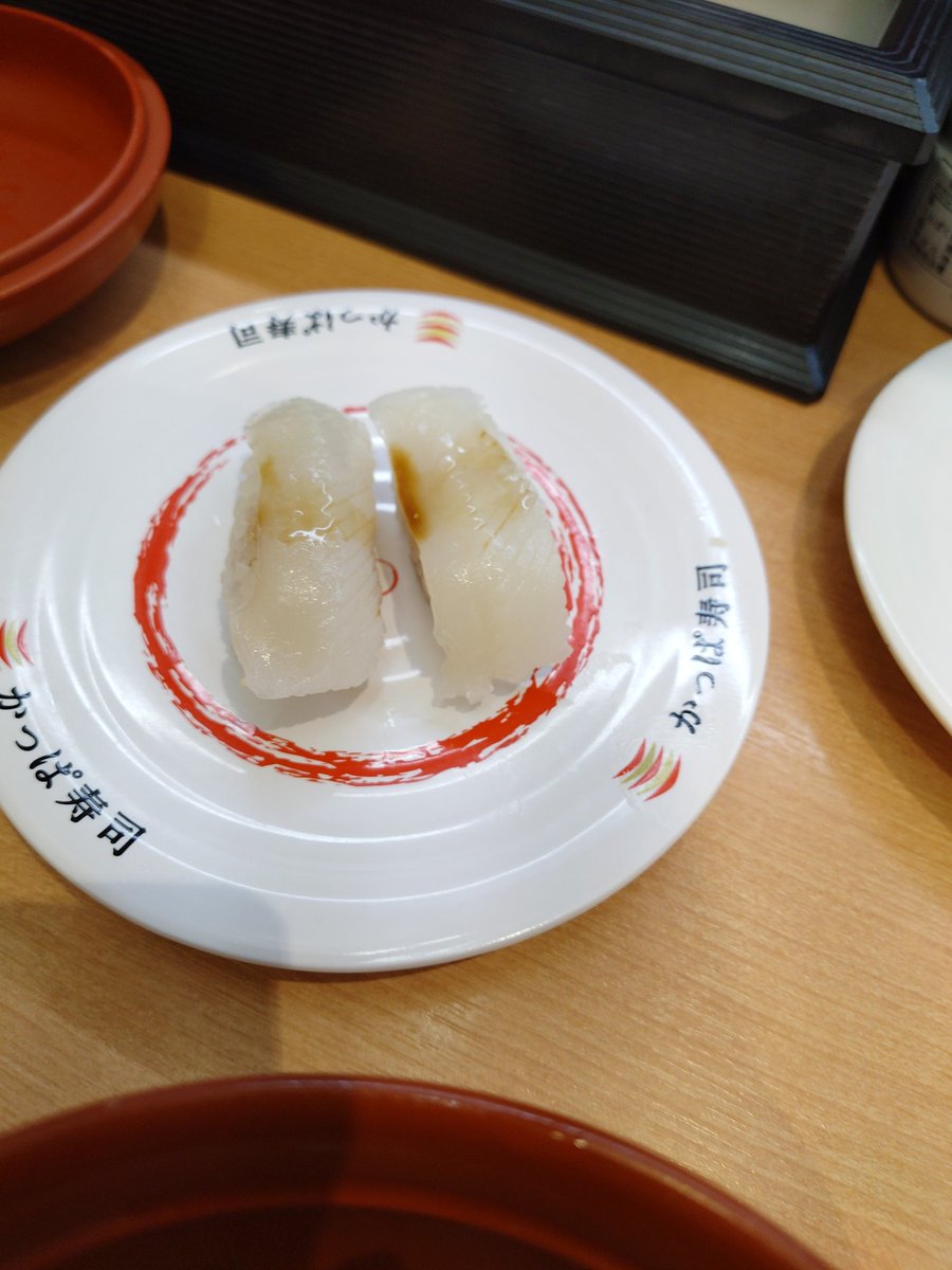 いわし、にしん、イカ🦑