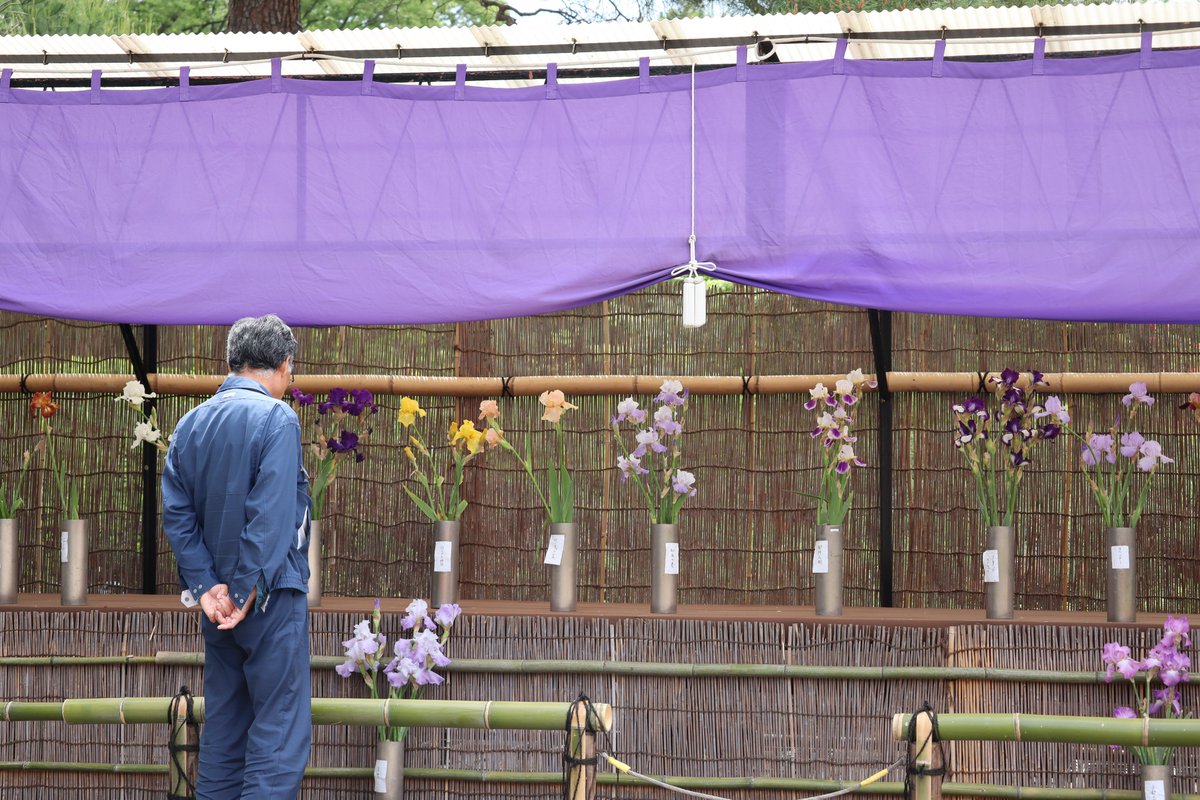 神代植物公園 【公式】 tweet media