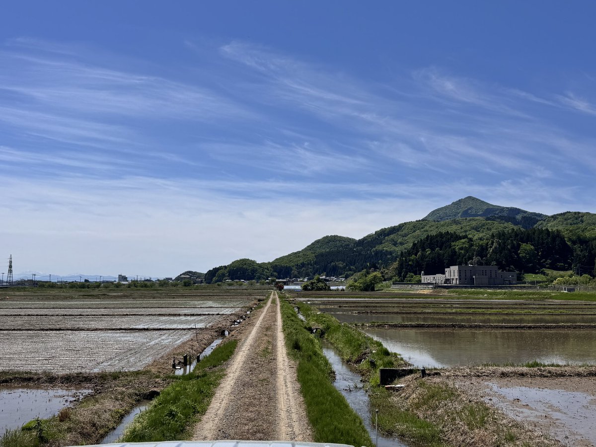 田植え…4日目…