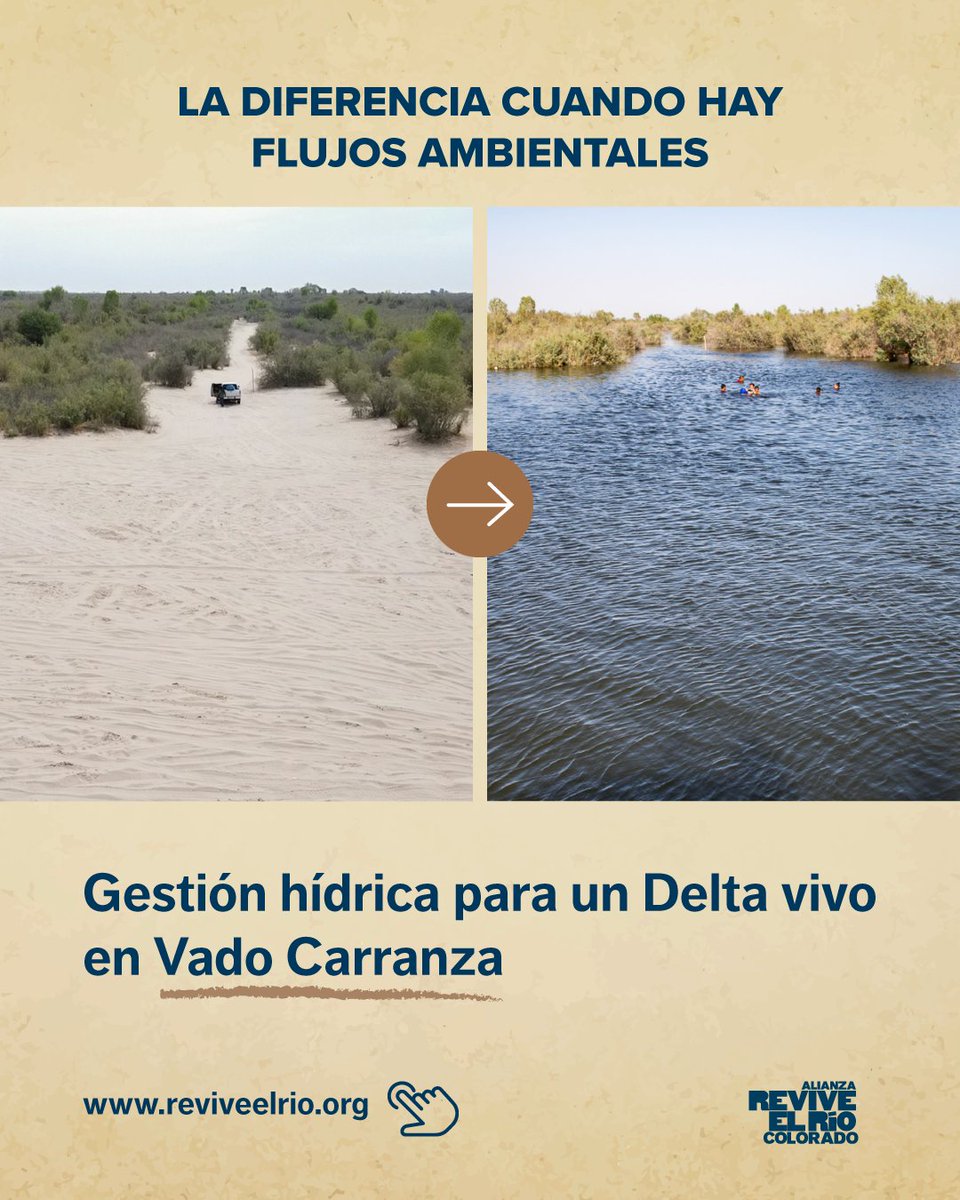 ReviveelRio tweet media