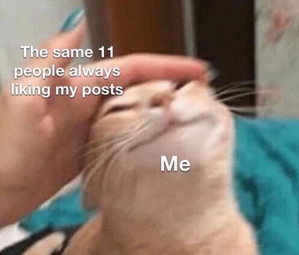 boba tweet media