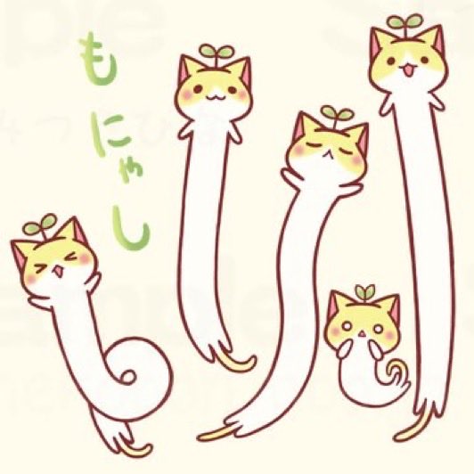 みつきひな🐾 tweet media
