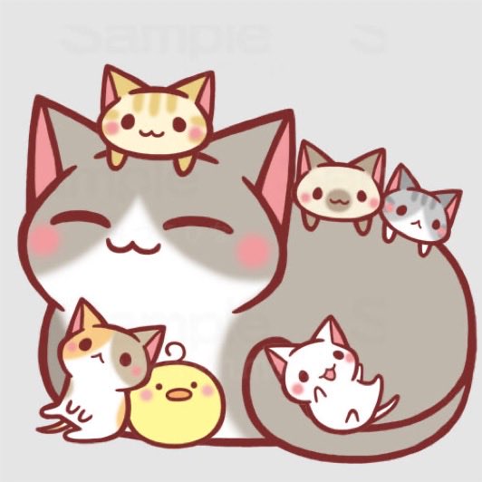 みつきひな🐾 tweet media