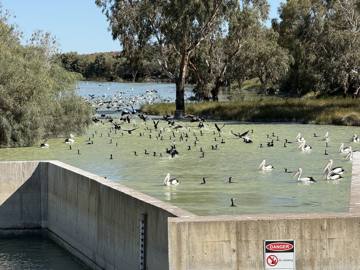 Environmental Water tweet media