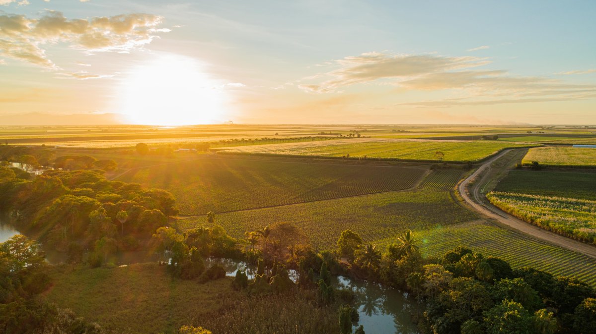 AgForce Queensland tweet media