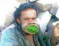 شلفا 🇸🇦 tweet media