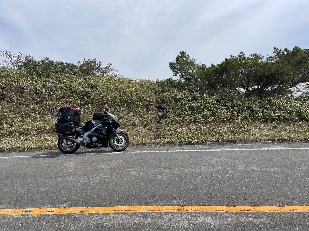 シーナサン tweet media