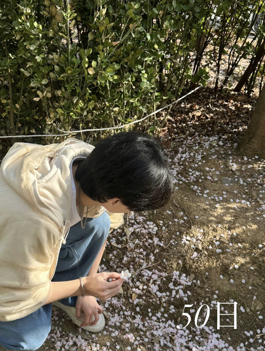もか tweet media