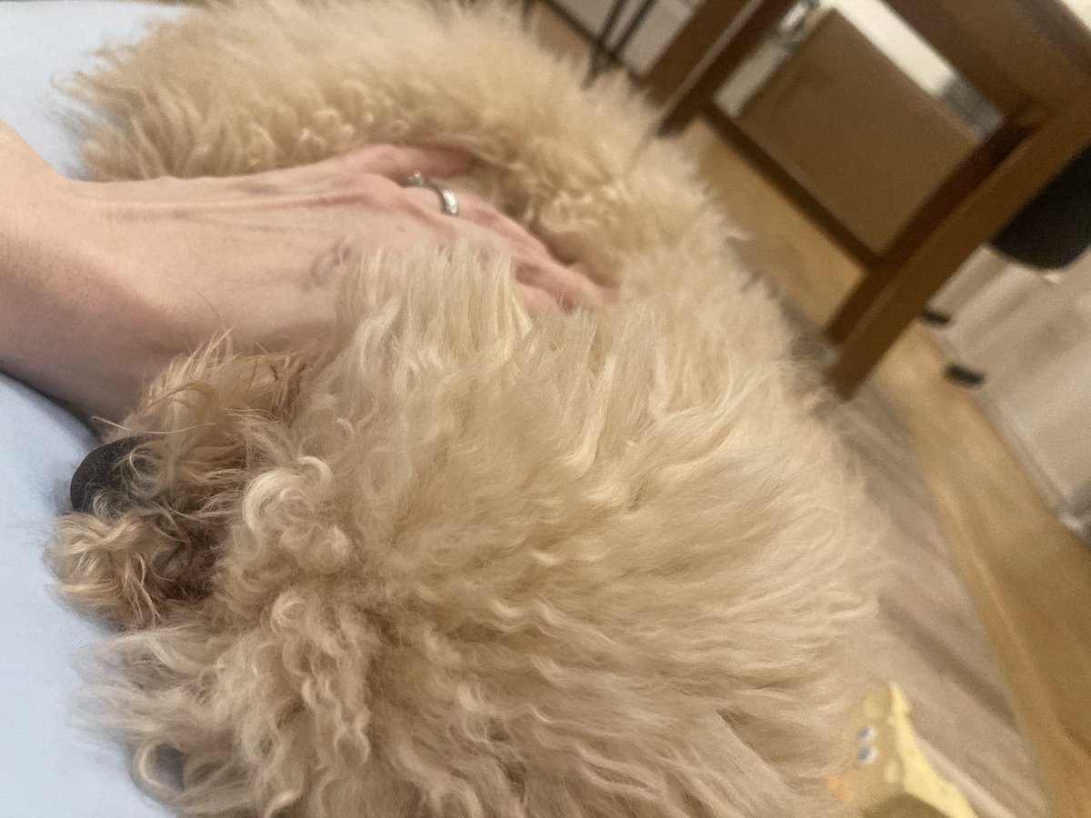 もーちゃんただいまぁぁぁぁぁ😭