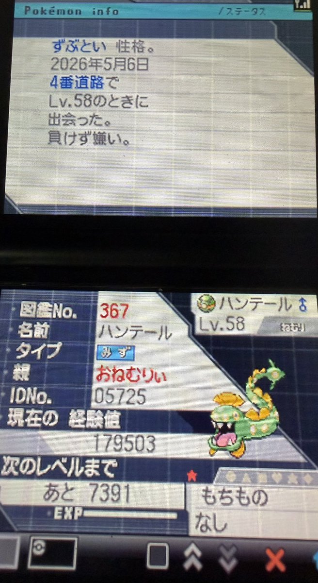 #色違いポケモン
4番道路の泡釣りハンテール318エンカで光りました！！！
ハンテールは♂が欲しかったからﾖｼ!!