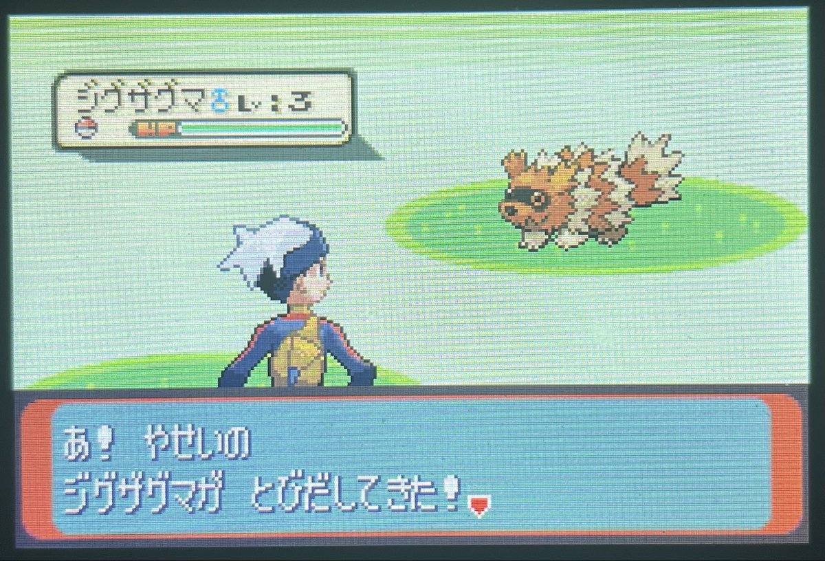ShinyHunter_DD tweet media