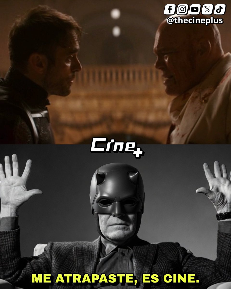 CINE+ tweet media