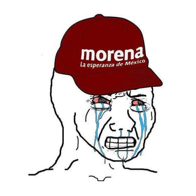PumaChairo's tweet photo. Yo: MORENA tiene legislando activamente a los sectarios pedofilos esclavistas sexuales de La Luz del Mundo.

El Obradorista salido de la cloaca: ¡ESTÁS ARDIDO PORQUE NO TE DIERON HUESO! https://t.co/H3S4Cq4E0n