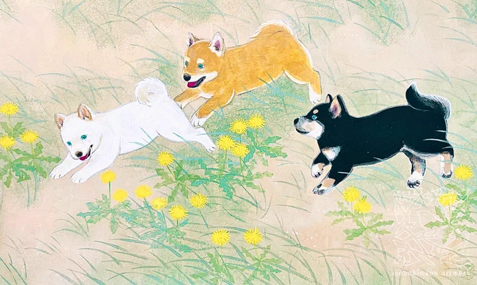 『風のように戯れる』 下記の展示に出品いたします 展示会名:柴犬展 会期:2026年5月6日(水)～13日(水)最終日は17時終了 会場:八犬堂ギャラリー #日本画 #柴犬 #たんぽぽ