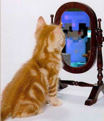 ↬ᴀʟғᴏɴsᴏ🔸 tweet media