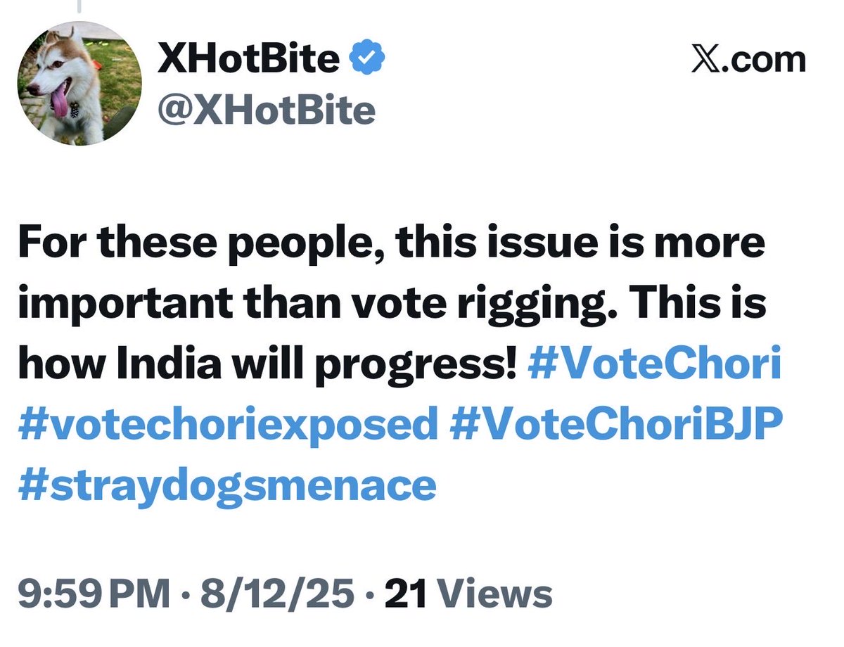 DG tweet media