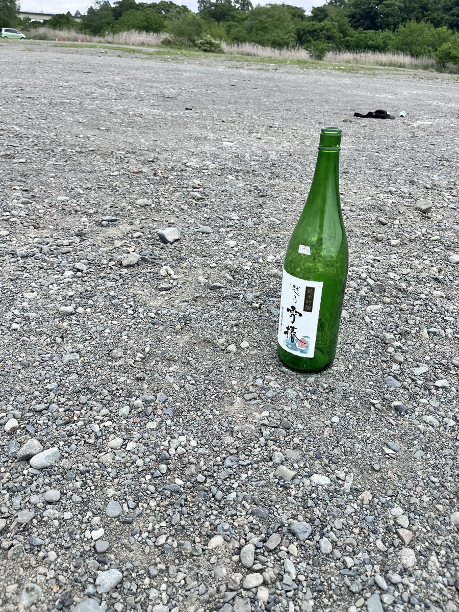 野良さん tweet media