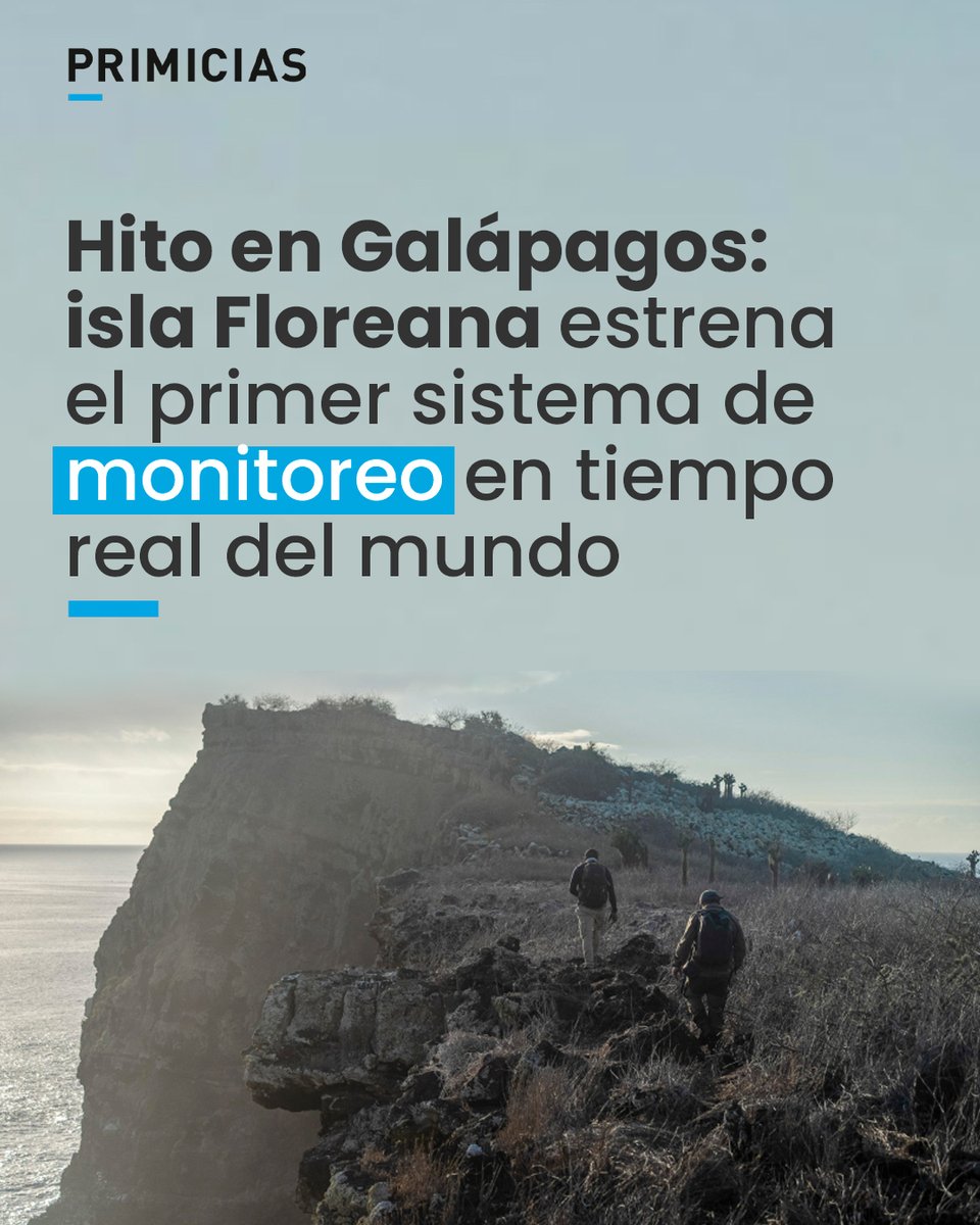 Primicias tweet media