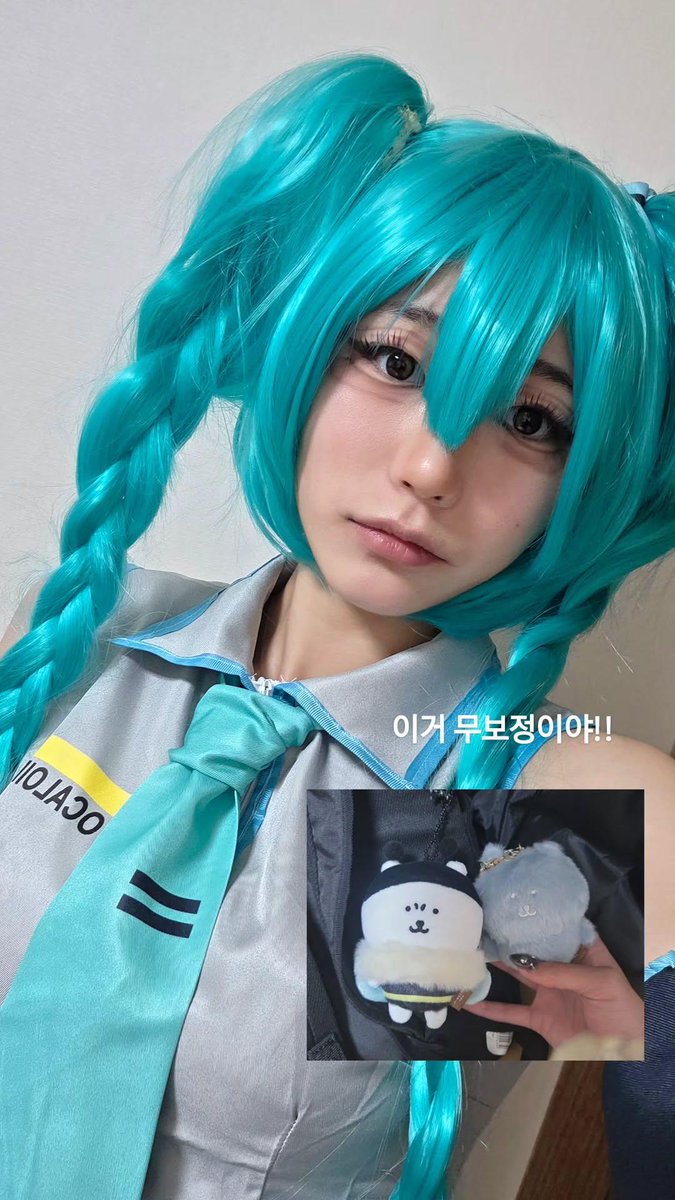 온지 /5부코 일 tweet media