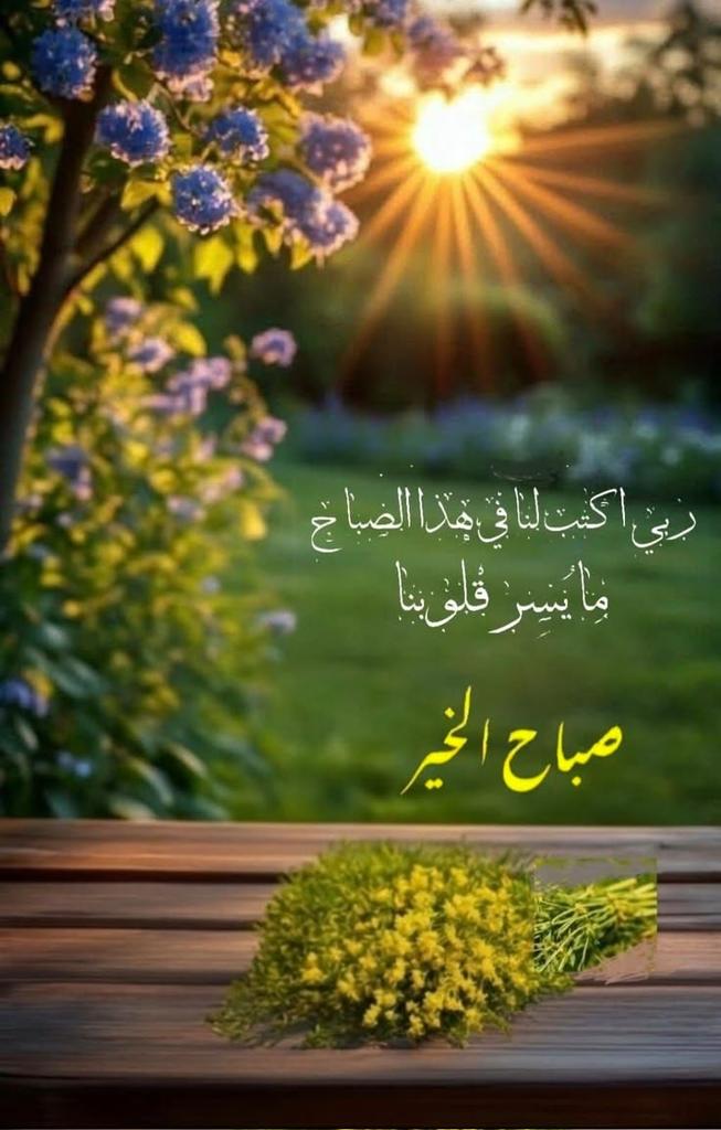 Amr Amine HEGAZY  عمرو أمين حجازي tweet media