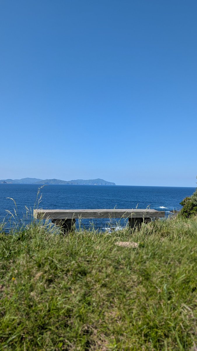 レッド兄 tweet media