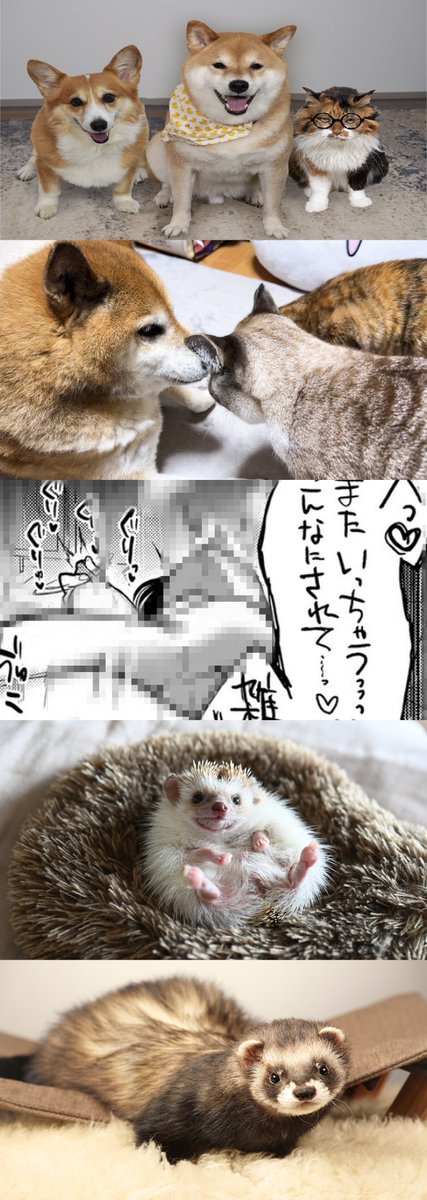 どくしょ📚読書 tweet media