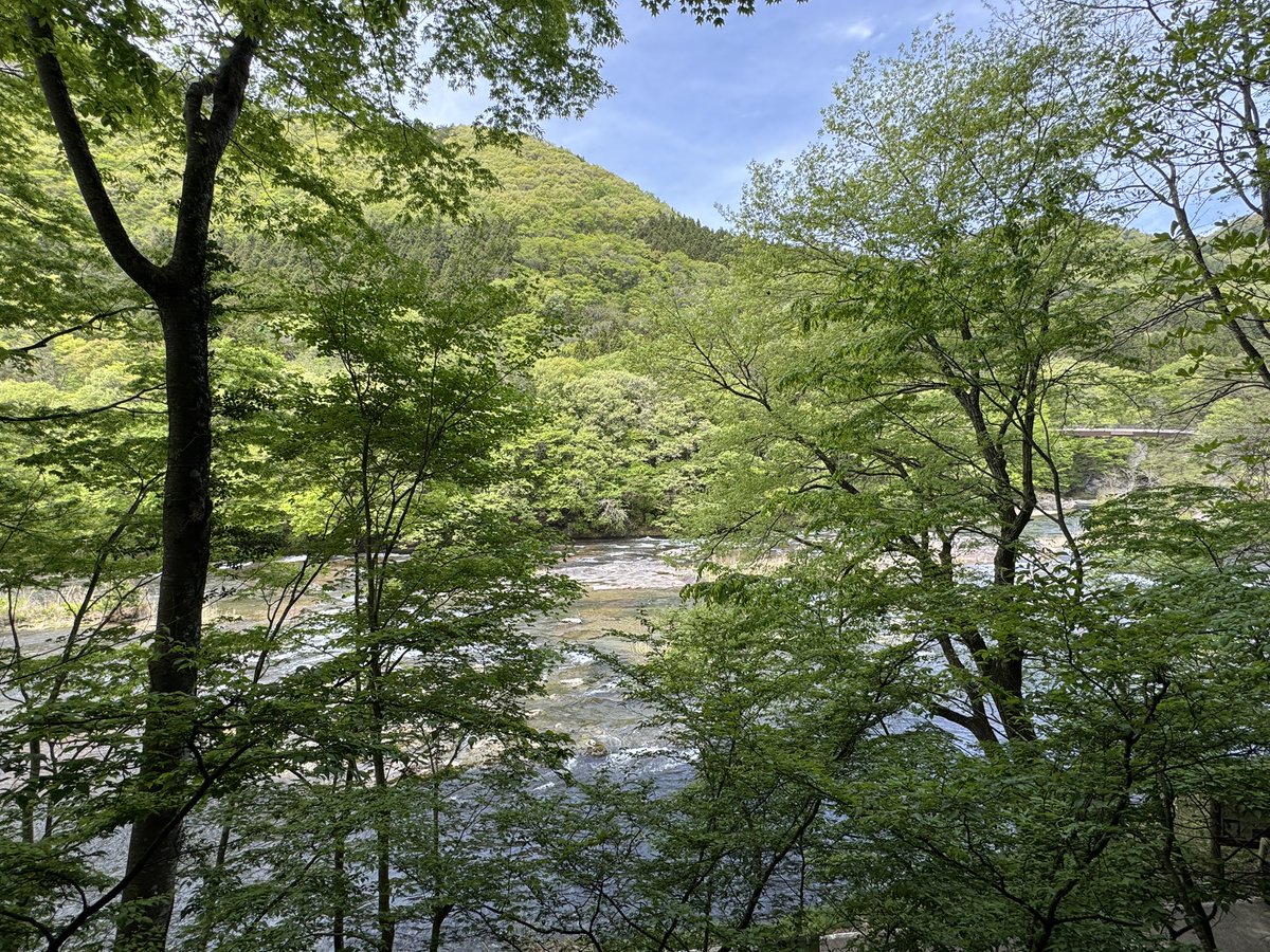 AbeyanceBloom's tweet photo. 連休最終日にして何もしてないことに気づき慌てて群馬旅行してます。 https://t.co/aJEuDck6Cg