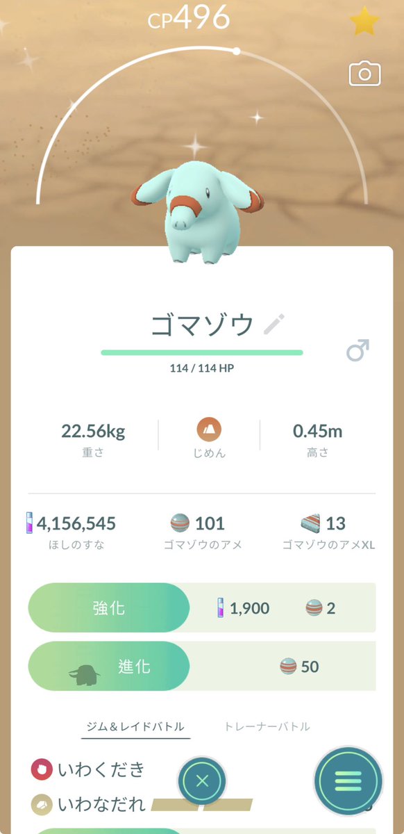 580rk's tweet photo. 最近捕まえた色違い💖
#ポケモンGO 
#ポケモンGO好きと繋がりたい 
#ポケモンGO色違い
#デスマス
#フシギダネ
#ゴマゾウ
#トゲチック https://t.co/GMuGMZp2PM