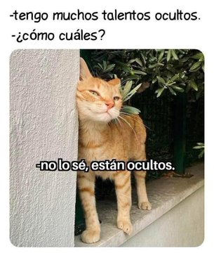eldolardiario's tweet photo. https://t.co/Y43aiylklN