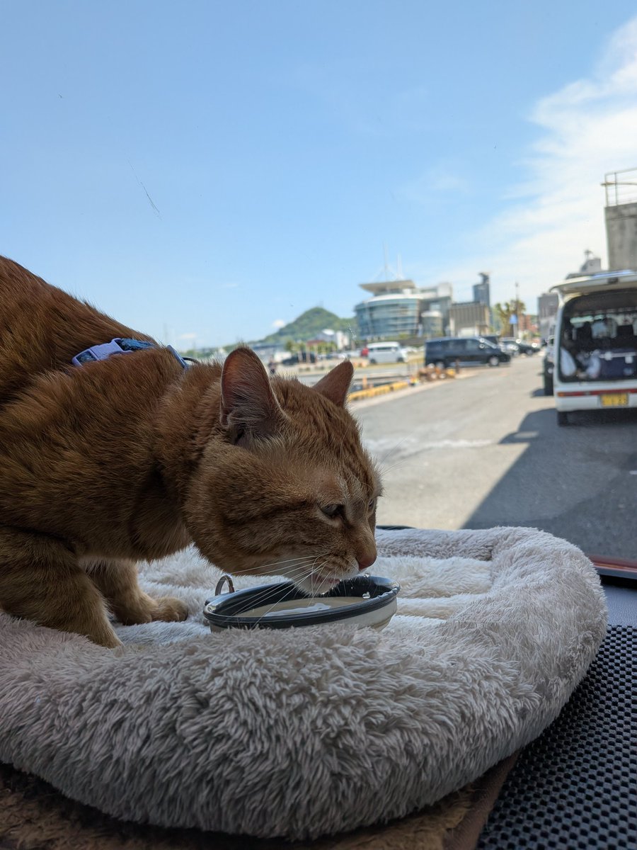 門司港に散歩に来てスマホを車内に置き忘れる暴挙wwさぁ、帰って君等のお誕生日BBQでもしますか🤣