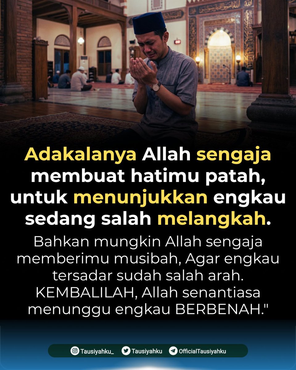 Tausiyahku tweet media