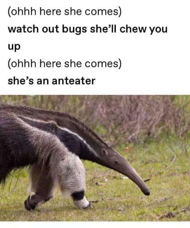 WholesomeMemes tweet media