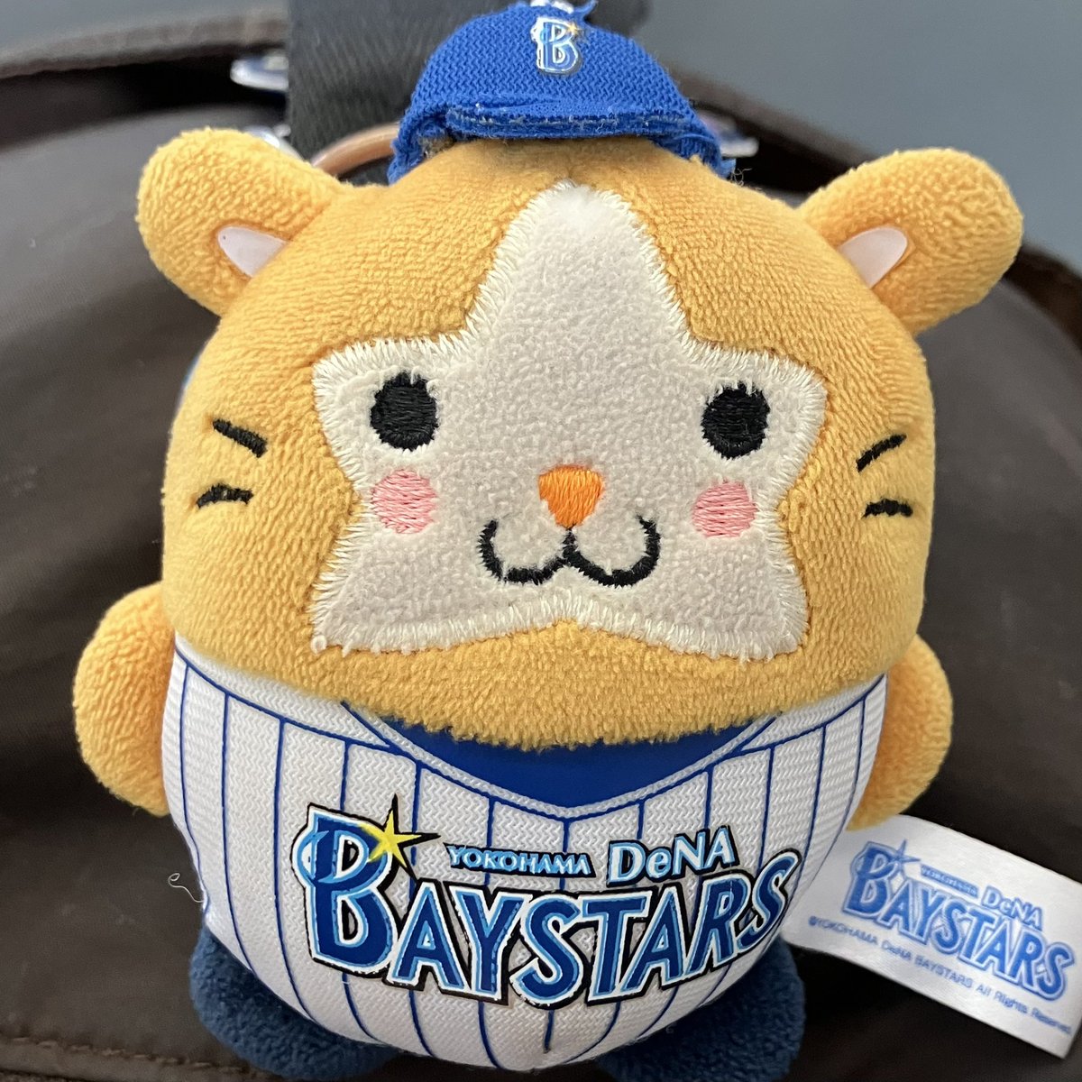 chatdefaisan's tweet photo. 今日も浜スタに参ります
深沢くん待ってたよ♪
めいっぱい応援します！

#BAYSTARS
#ベイスターズファンと繋がりたい https://t.co/t8olSgP6v7