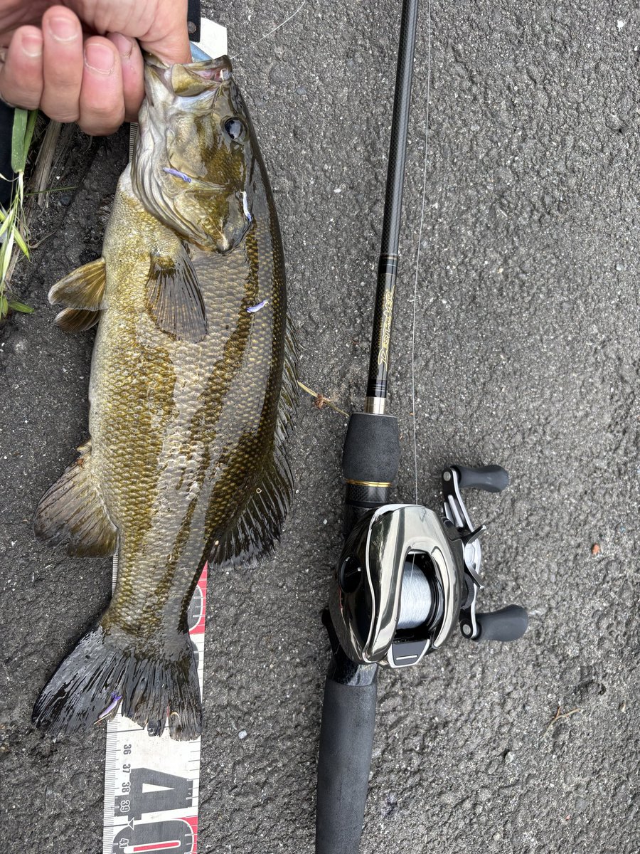 カズマル٩( 'ω' )و🎣 tweet media