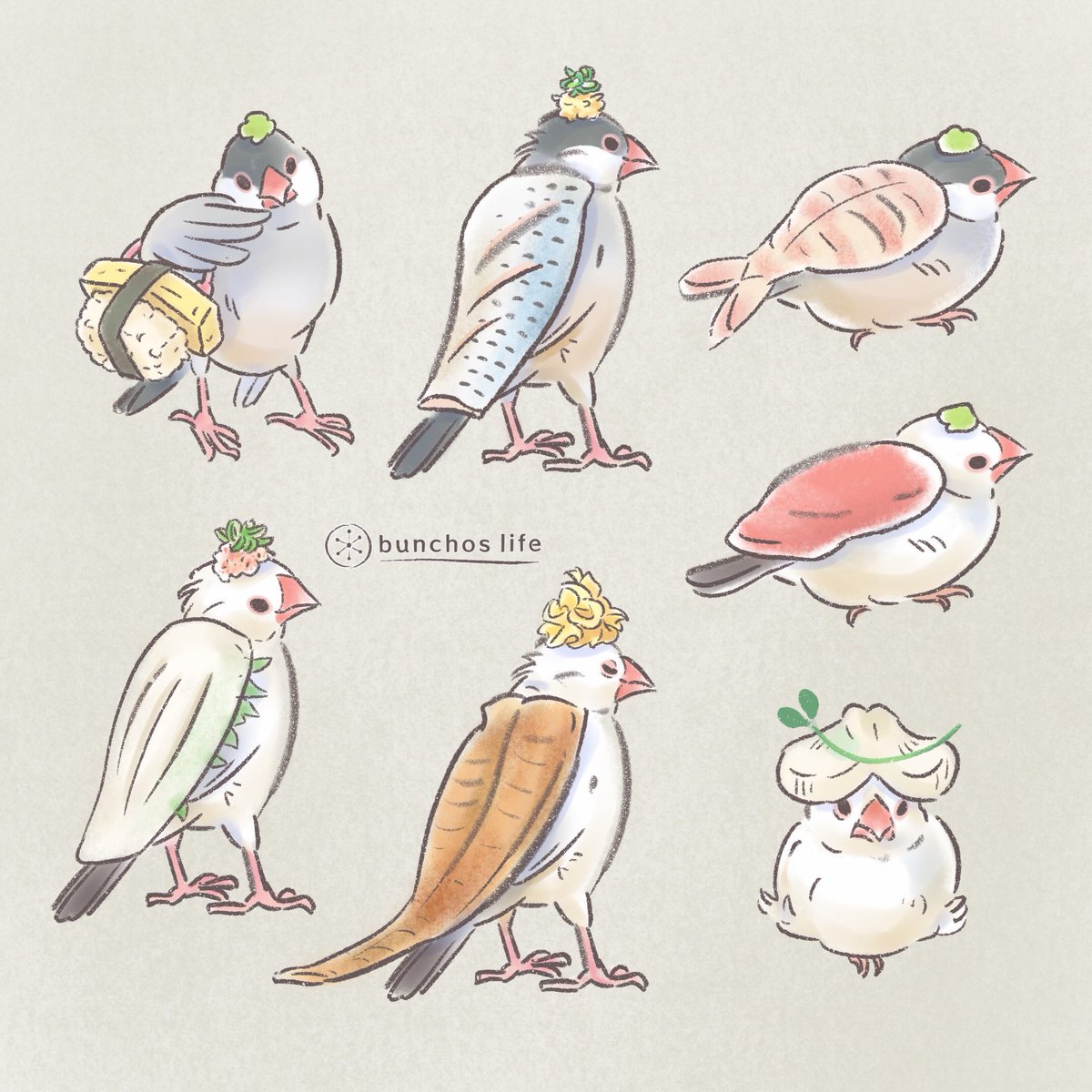 こむぎ🕊️ tweet media