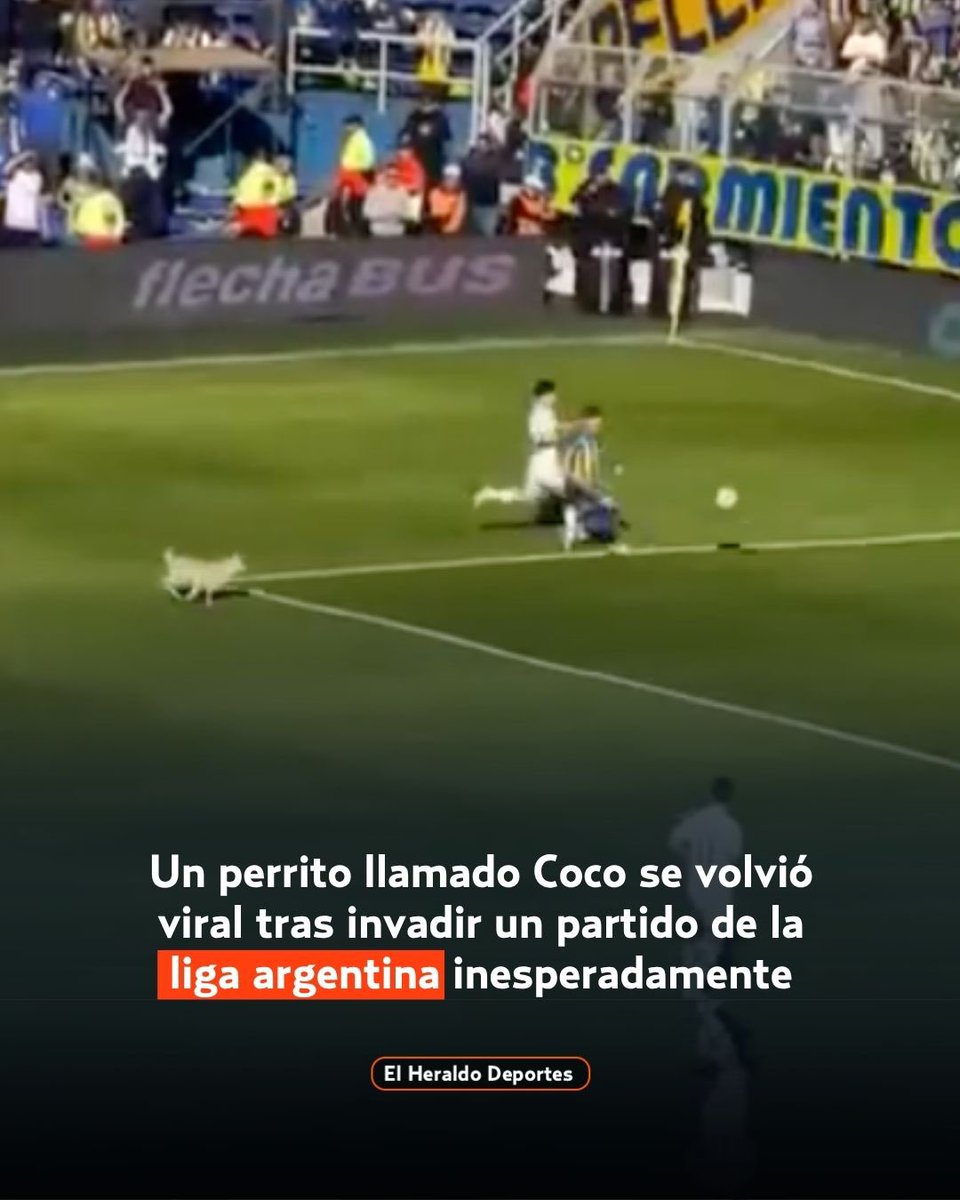 El Heraldo Deportes MX tweet media