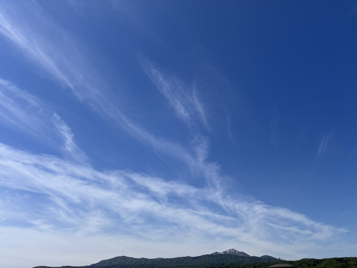 ma_sw27's tweet photo. 鬼の目に泪 https://t.co/DEtoW4ydyM