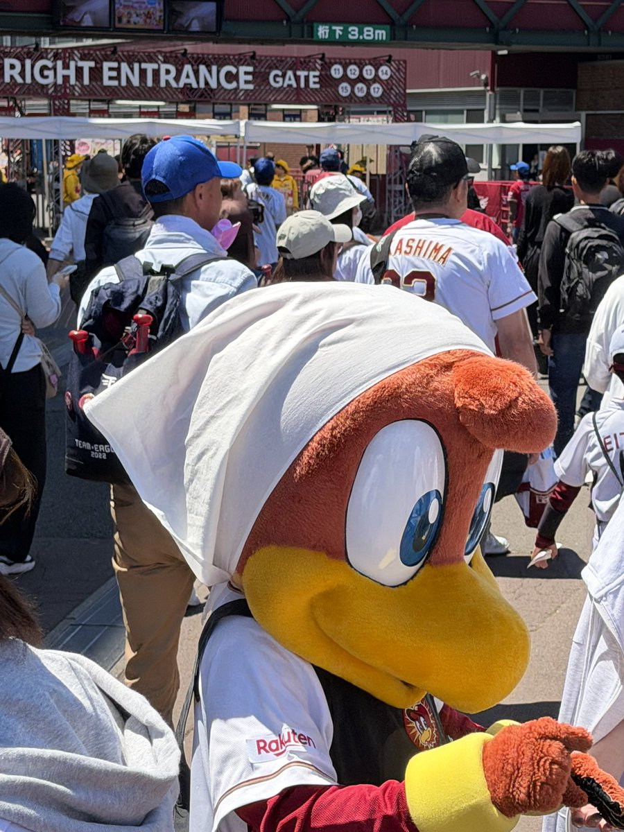 ken🦅🐧 tweet media