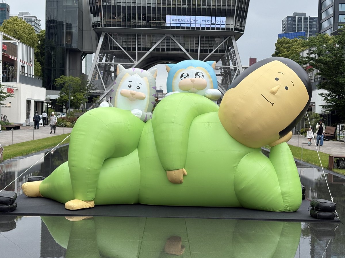 まめきちまめこ でっかいまめちゃん見に来ました！