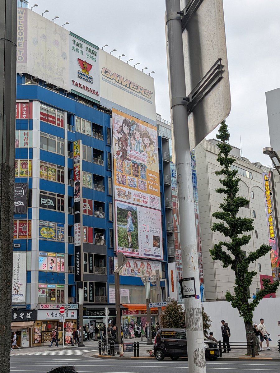 ローズクォーツ🐧 tweet media