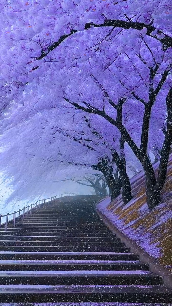Aesthetics (@aestheticspost_) on Twitter photo 