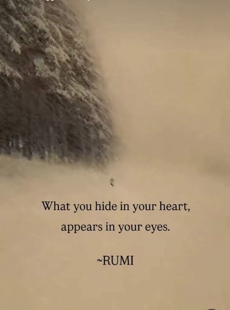 Spiritual Wise Seeker tweet media
