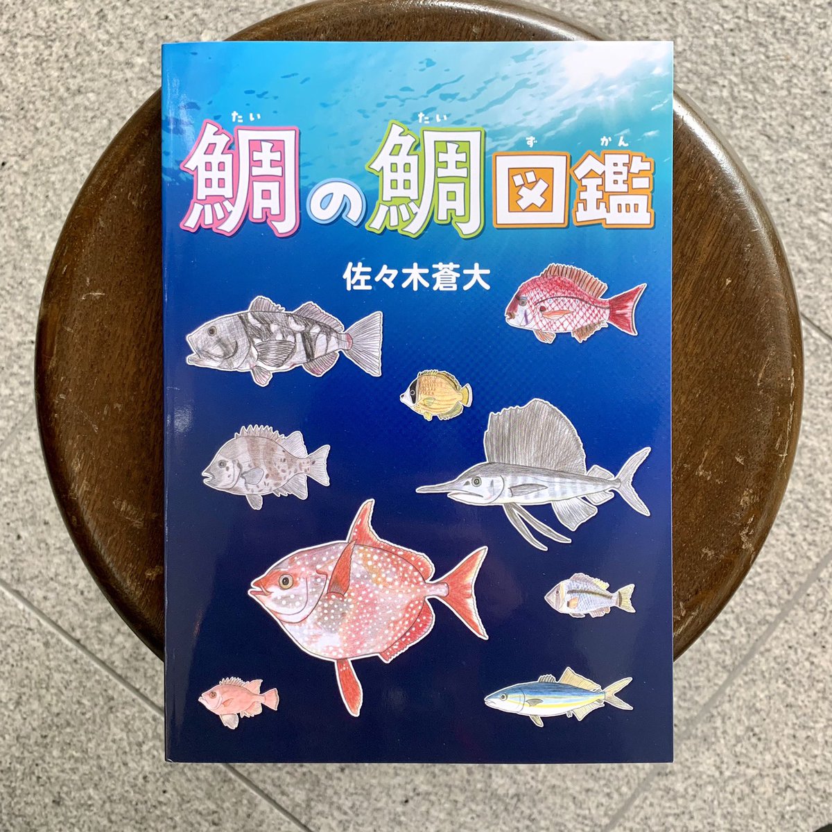 美味しく魚を食べながら集めた骨（鯛の鯛）を、イラストとともに紹介