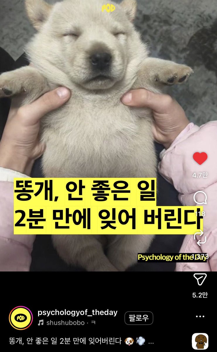 s_wjt's tweet photo. 박후민
              똥개 https://t.co/VZ6ok4JBVn